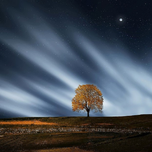 变态强奸美女视频网站
